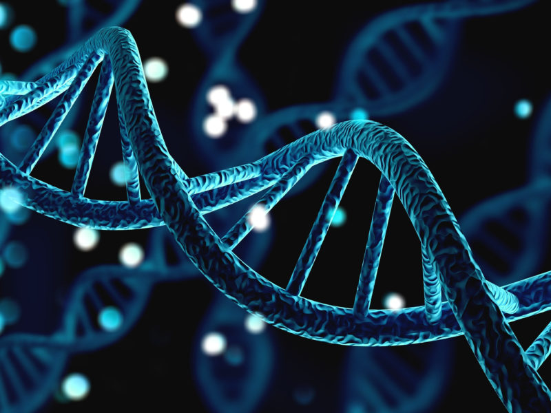 Evropský grant na podporu mladých vědců získala v Česku vědkyně na výzkum DNA